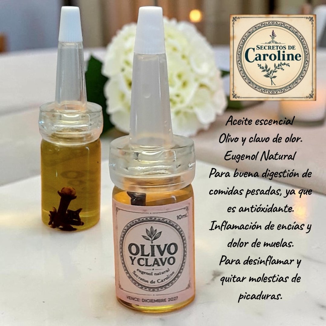 Olivo Clavo